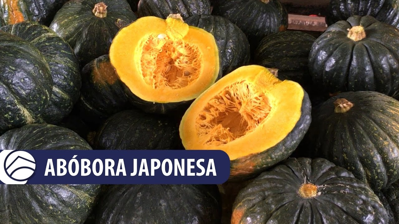 Abóbora Japonesa é o produto destaque da semana na CEAGESP