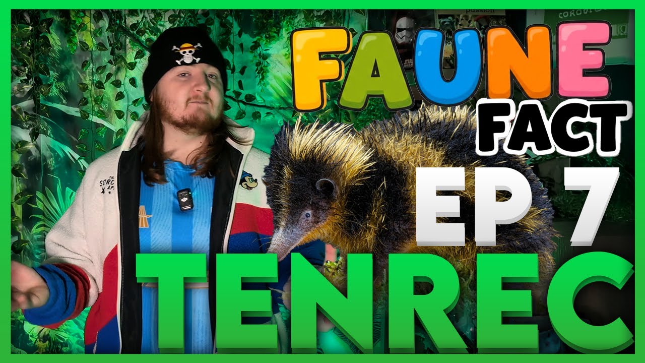 FAUNE'FACT épisode 7 | LE TENREC