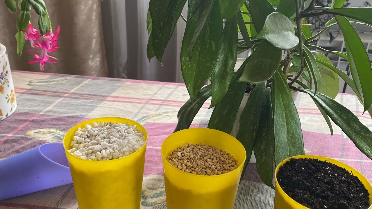 Составляем грунт для хой. 🌿🌿🌿