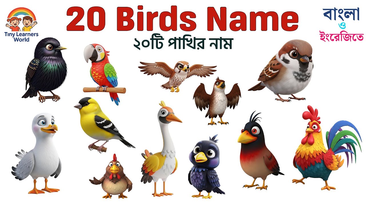 ২০টি পাখির নাম | Birds Name in Bangla and English | Kids Learning Video #birdsname #kidslearning