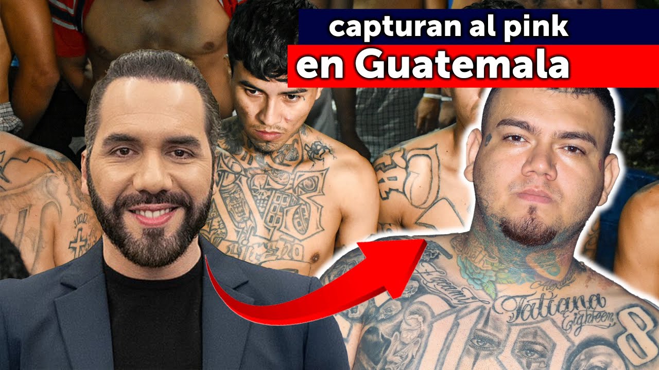 🚨 Capturan al PINK EN GUATEMALA 