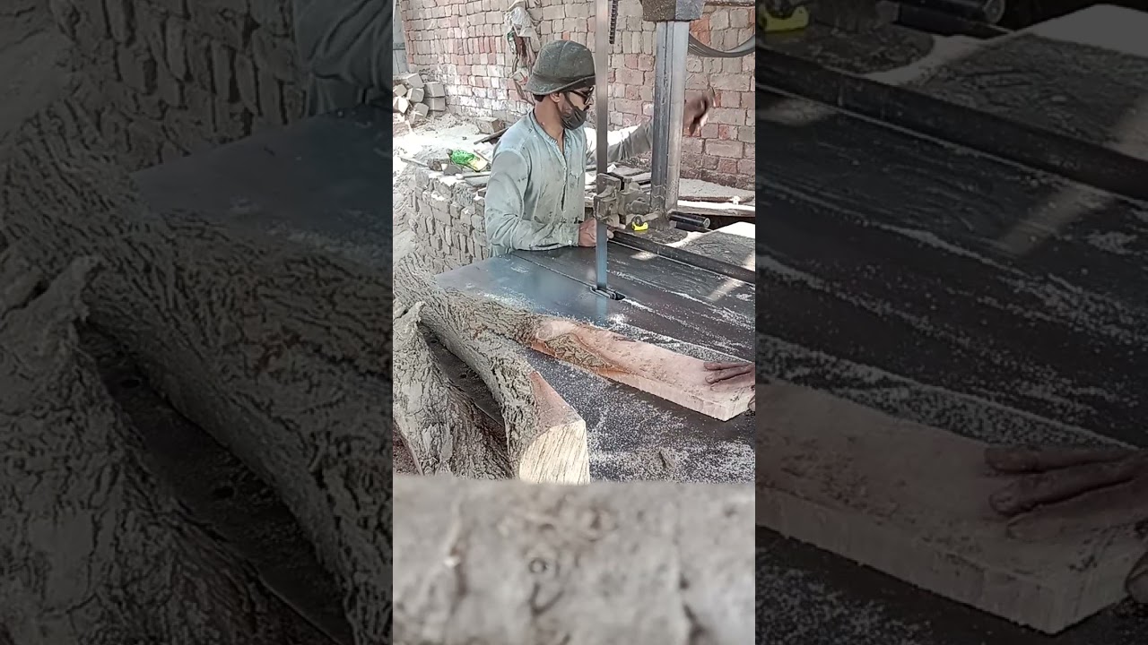 Wod Cutting Extreme 🪚🔥Satisfying Tree Cutting Moments 🌳Bandsaw Machine in Full Action!Don’t Blink 👀