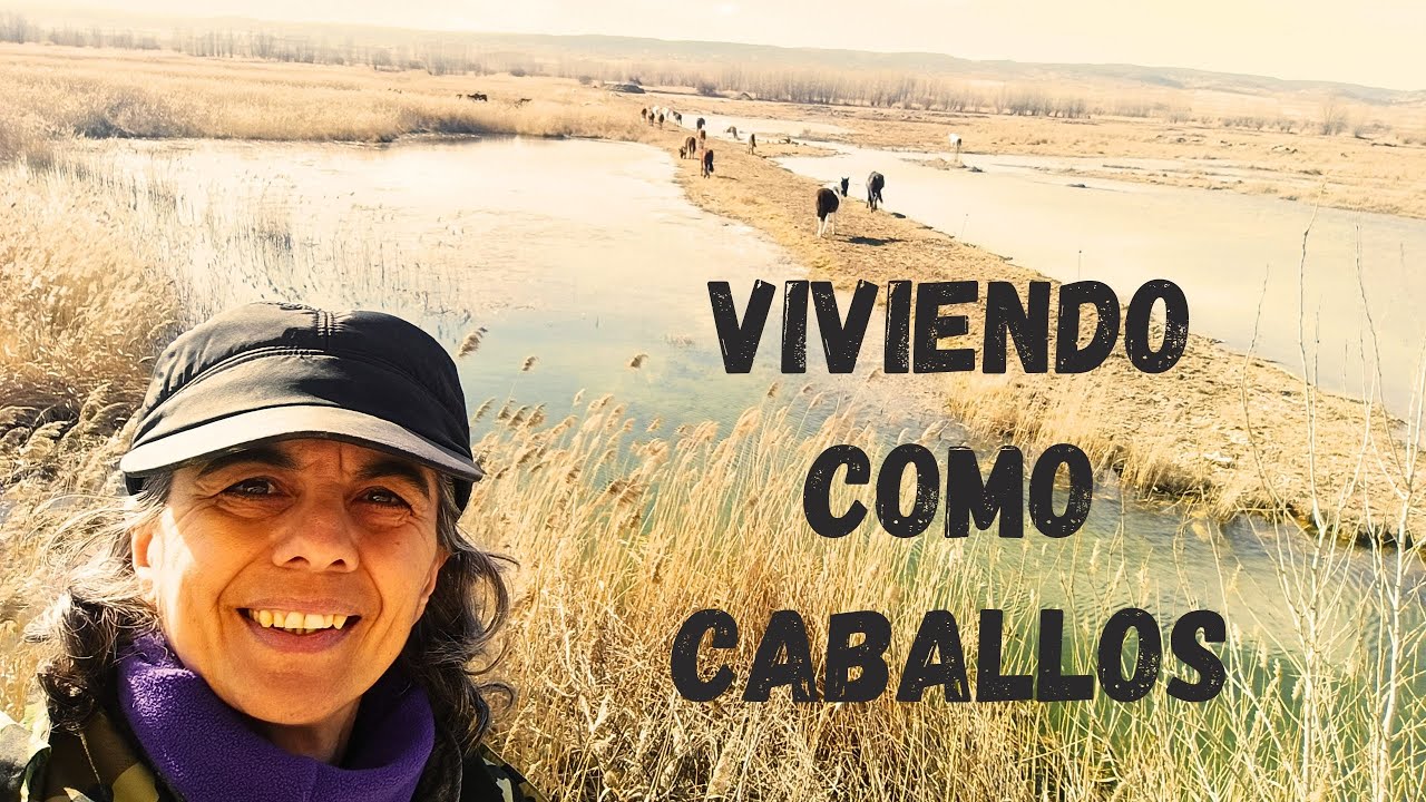 Viviendo como caballos