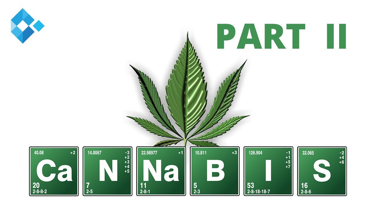 Cannabinoide zur Schmerztherapie – wo kommen sie zum Einsatz | Dr. Pinsger