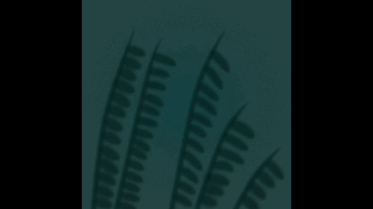 Ode To The Mets - The Strokes (lofi cover)