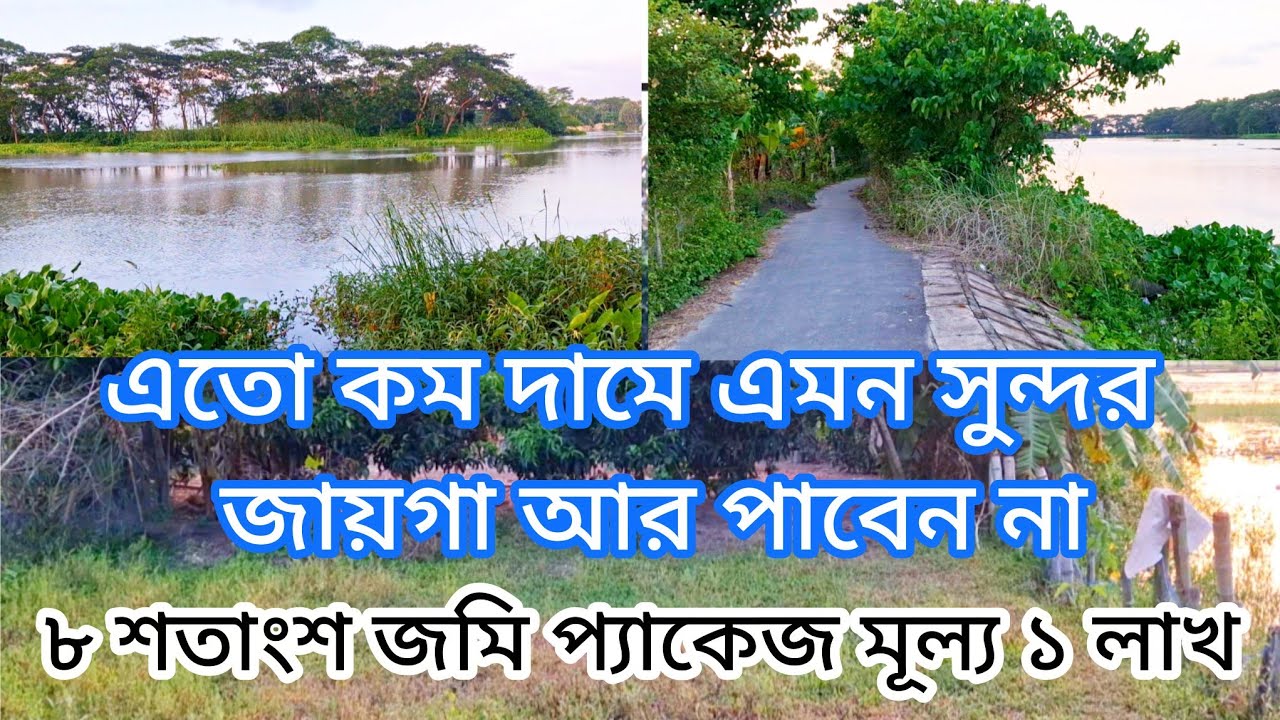 ৮ শতাংশ জমি অফার প্রাইজ ১ লাখ! কম দামে জমি কিনুন! bangla news সেরা ব্যাবসার আইডিয়া  ০১৯১৯৪২৯৭২৫