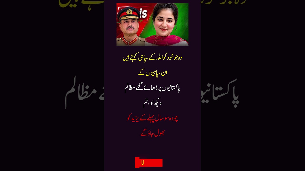 🚨 Dark Reality of Pakistan Politics Exposed! 🇵🇰 | The Untold Truth | UFB Spark #Shorts #pakistan