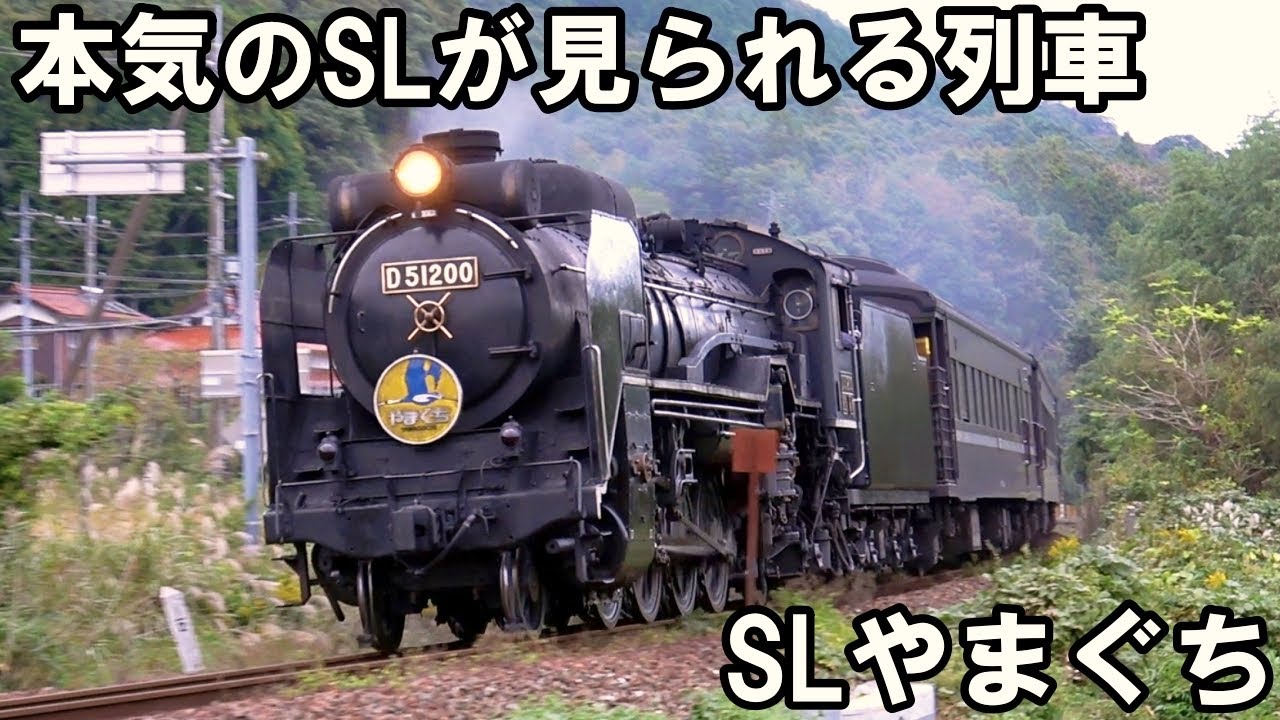 【SLを見る】本気のSLが見られる列車 - 安全弁から蒸気を上げる - SLやまぐち（D51200）