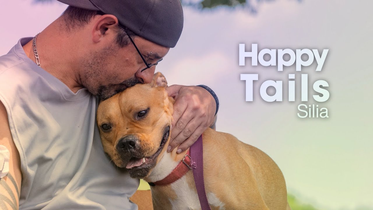 After Recovering From Injuries, This Sweet Dog Sealed the Deal With Her New Family