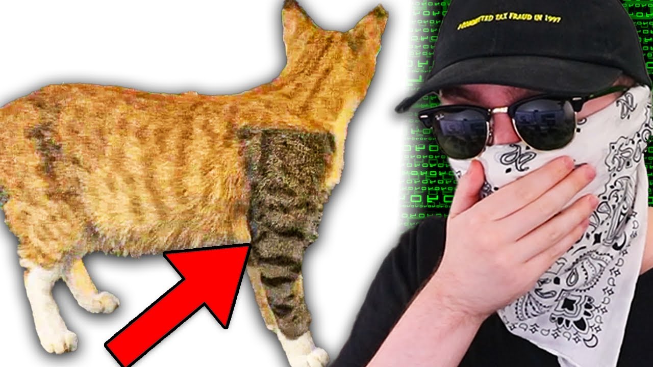 Real Glitches In The Matrix