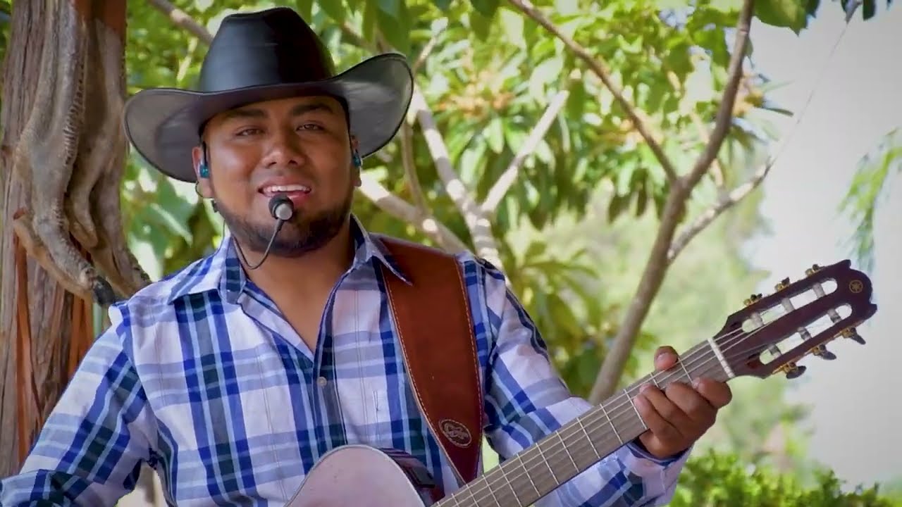 Elenita \ Guitarras De La Sierra (En Vivo)
