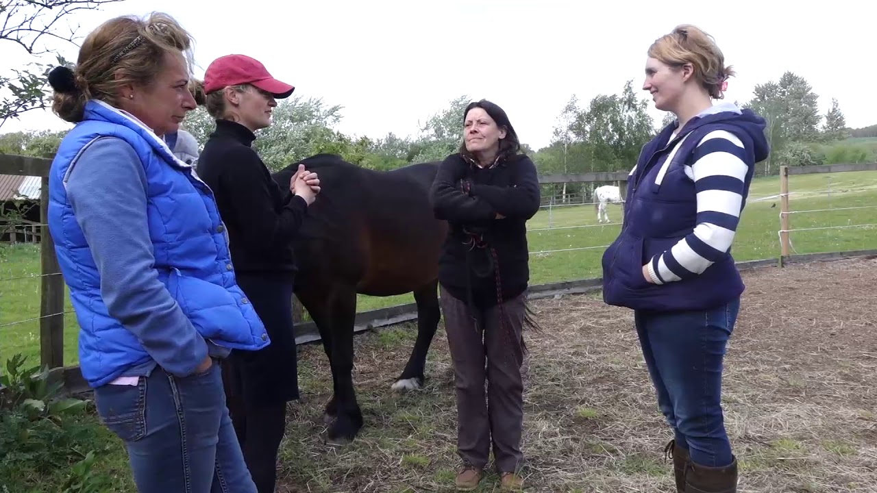 EAQ Introduction to Equine Assisted Learning