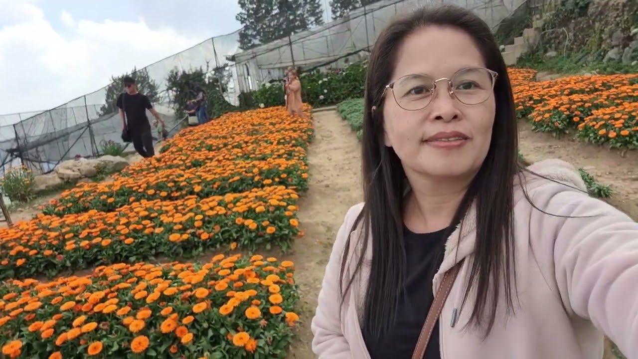 Atok benguet flower farm|Divine's channel