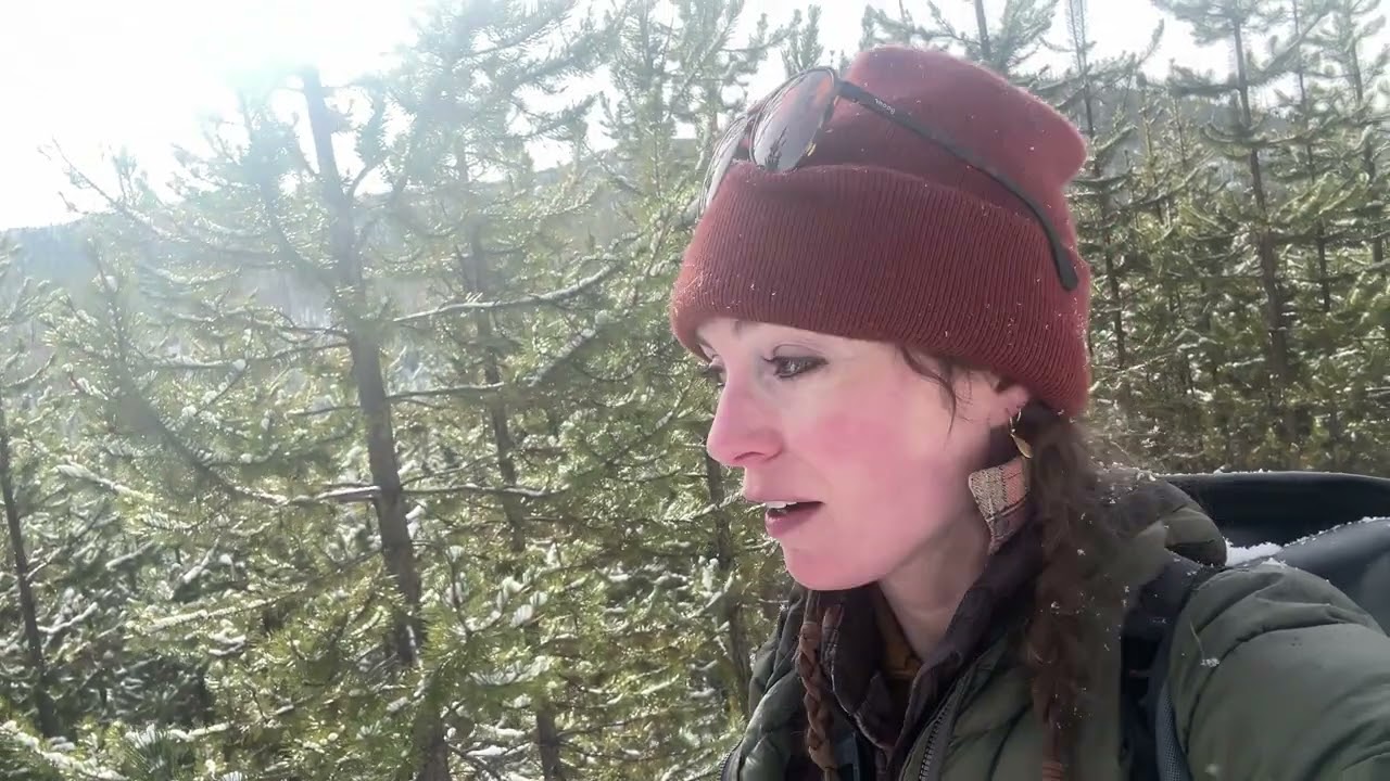 Retrieving a GPS collar from M006