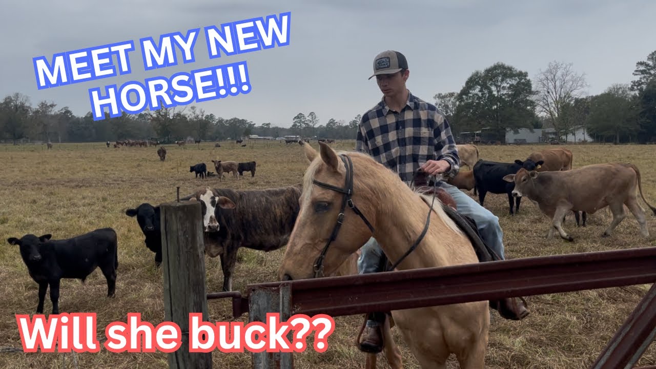 RIDING MY NEW HORSE!!! FIRST TIME!!!