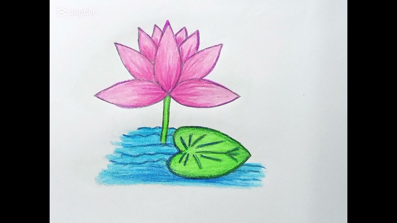 শাপলা ফুল #art #drawing #easydrawing how to draw a flower. Easy flower drawing. 