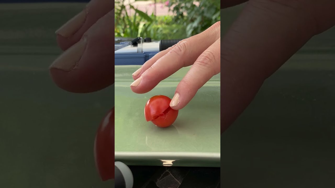 Tomato Taste Test #29 - Pink Cherrywine,  a Fred Hempel tomato
