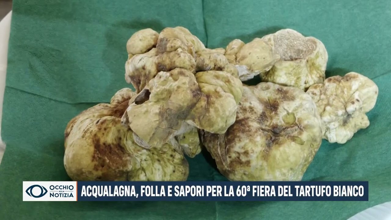 Acqualagna, folla e sapori per la 60&ordf; Fiera del Tartufo bianco