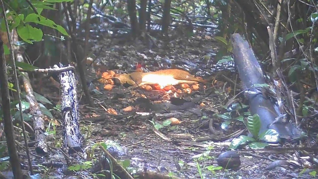 Curtir um pouco arisca mais deu certo