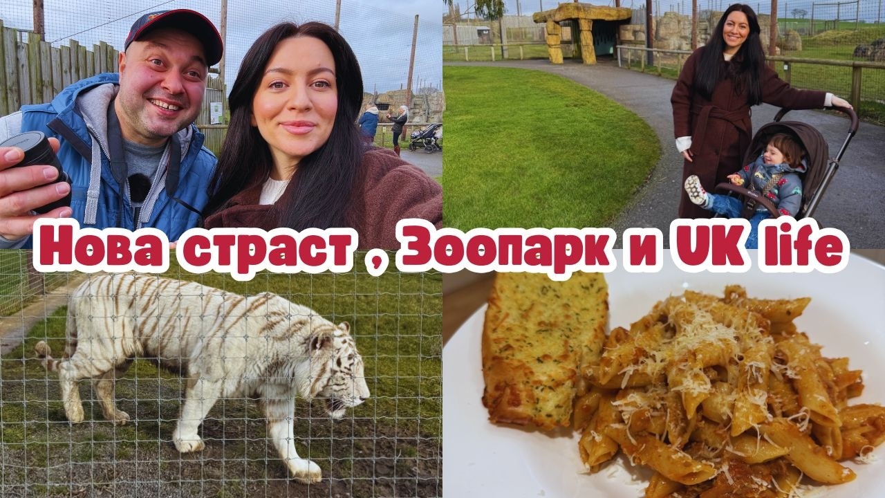 НОВА СТРАСТ | ЗООПАРК | ЕДНА НЕДЕЛЯ С НАС | ЖИВОТ В АНГЛИЯ