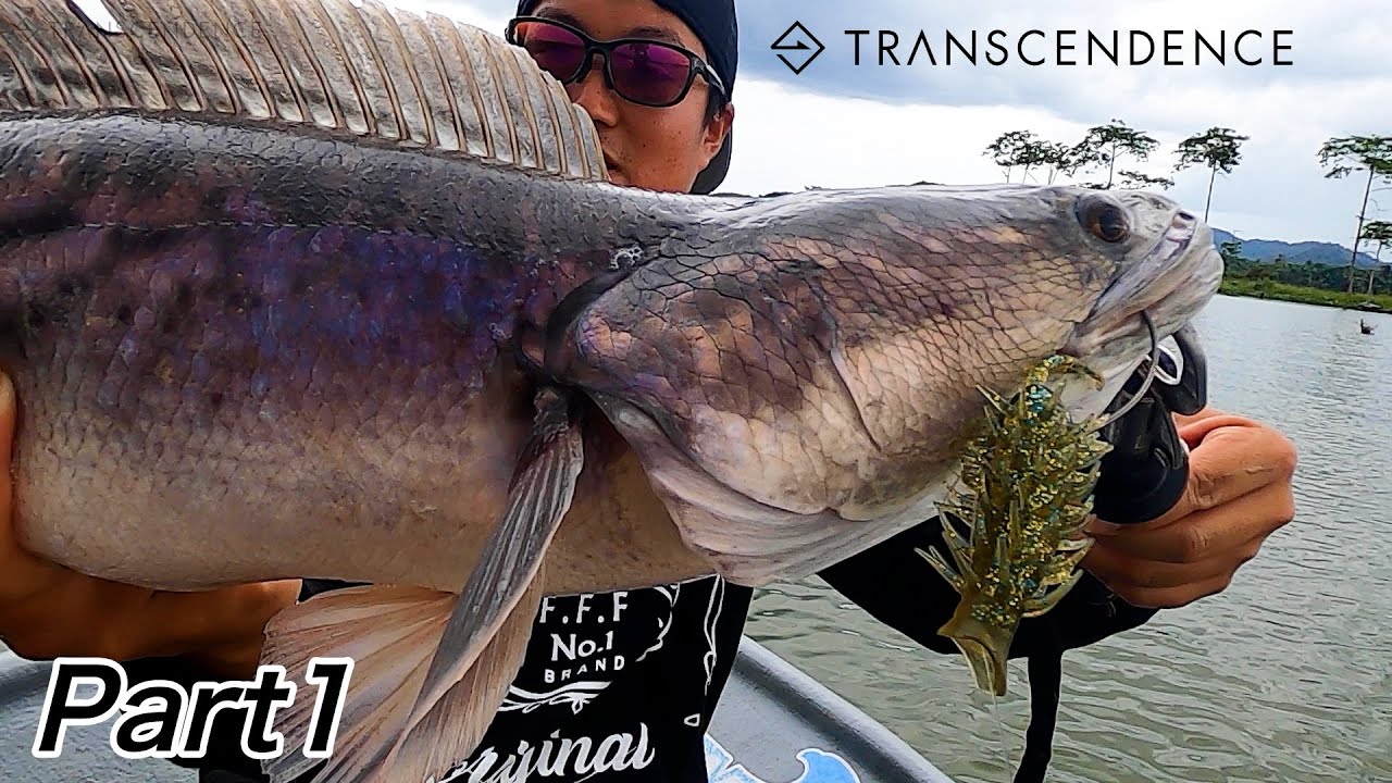 【DAY1】水面炸裂！マレーシアトーマンフィッシングMalaysia Toman　 Fishing/chilltrip/transcendence