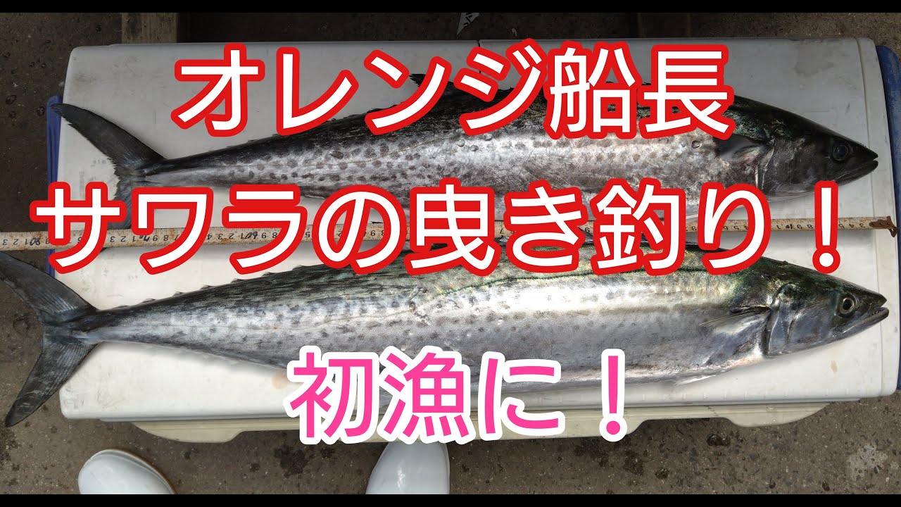 瀬戸内漁師オレンジ船長！今季初のサワラの曳き釣り漁！柿山海産