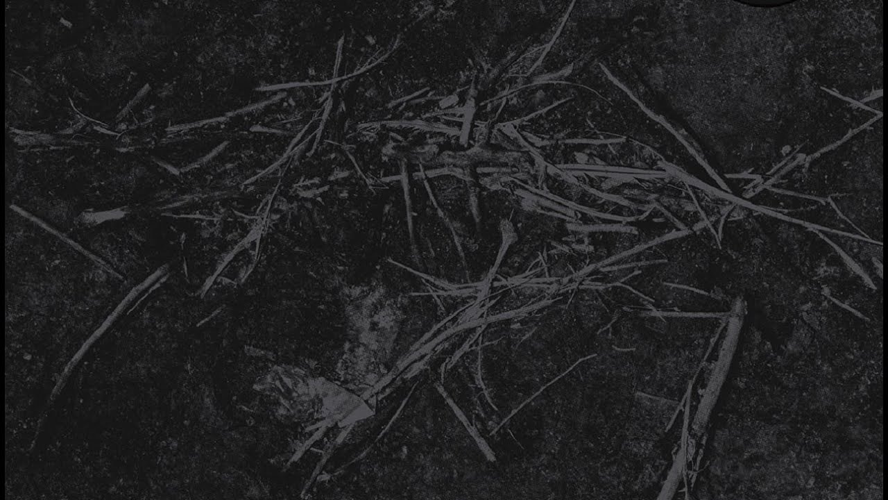 RUIN LUST - Ruin Lust [Full Album] [Ascension Records]