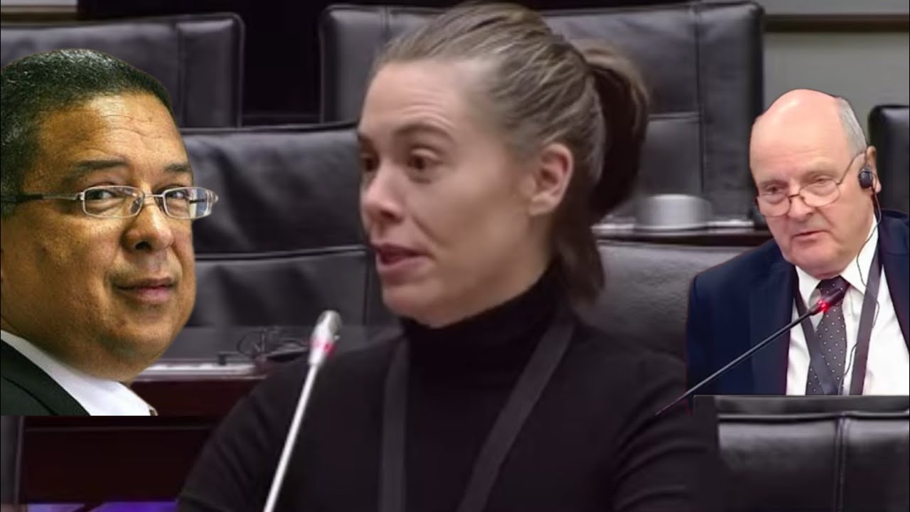 SARAH JAY TRENT DISMALL TESTIMONY ON FAILING TO GIVE REASONS TO HELP IPID INVESTIGATIONS