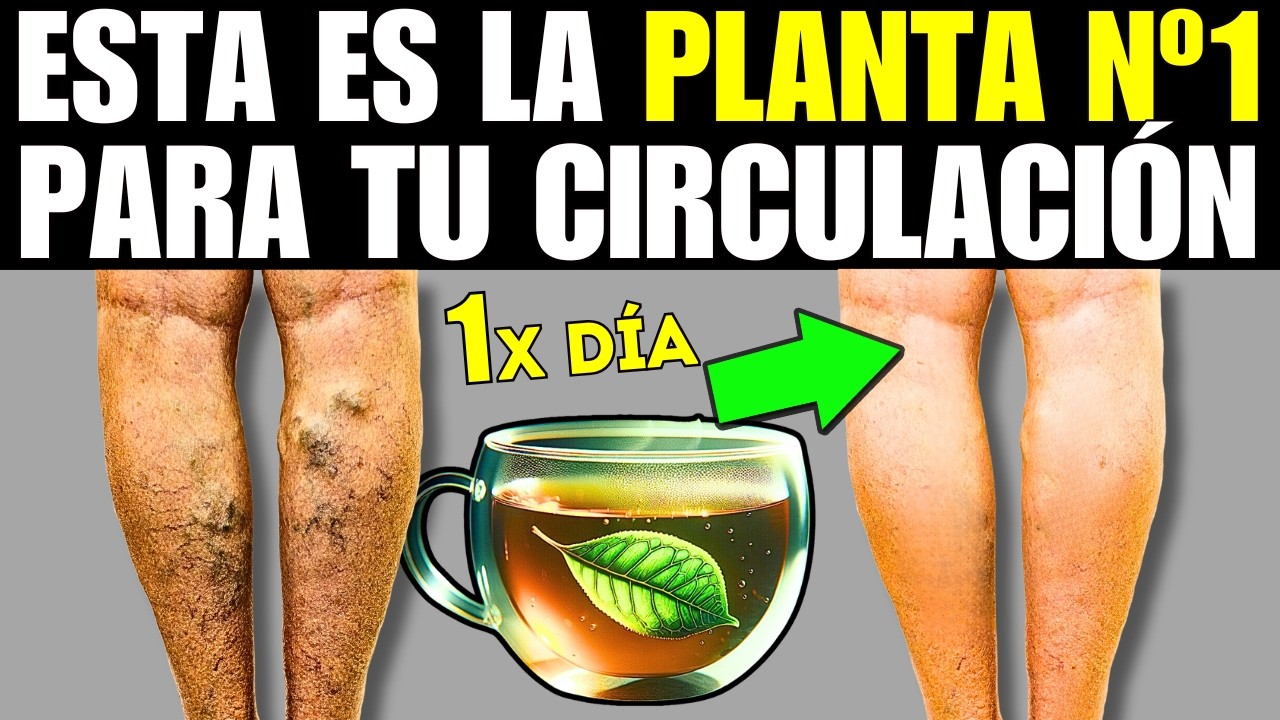 10 PLANTAS que MEJORAN la INSUFICIENCIA VENOSA y VARICES