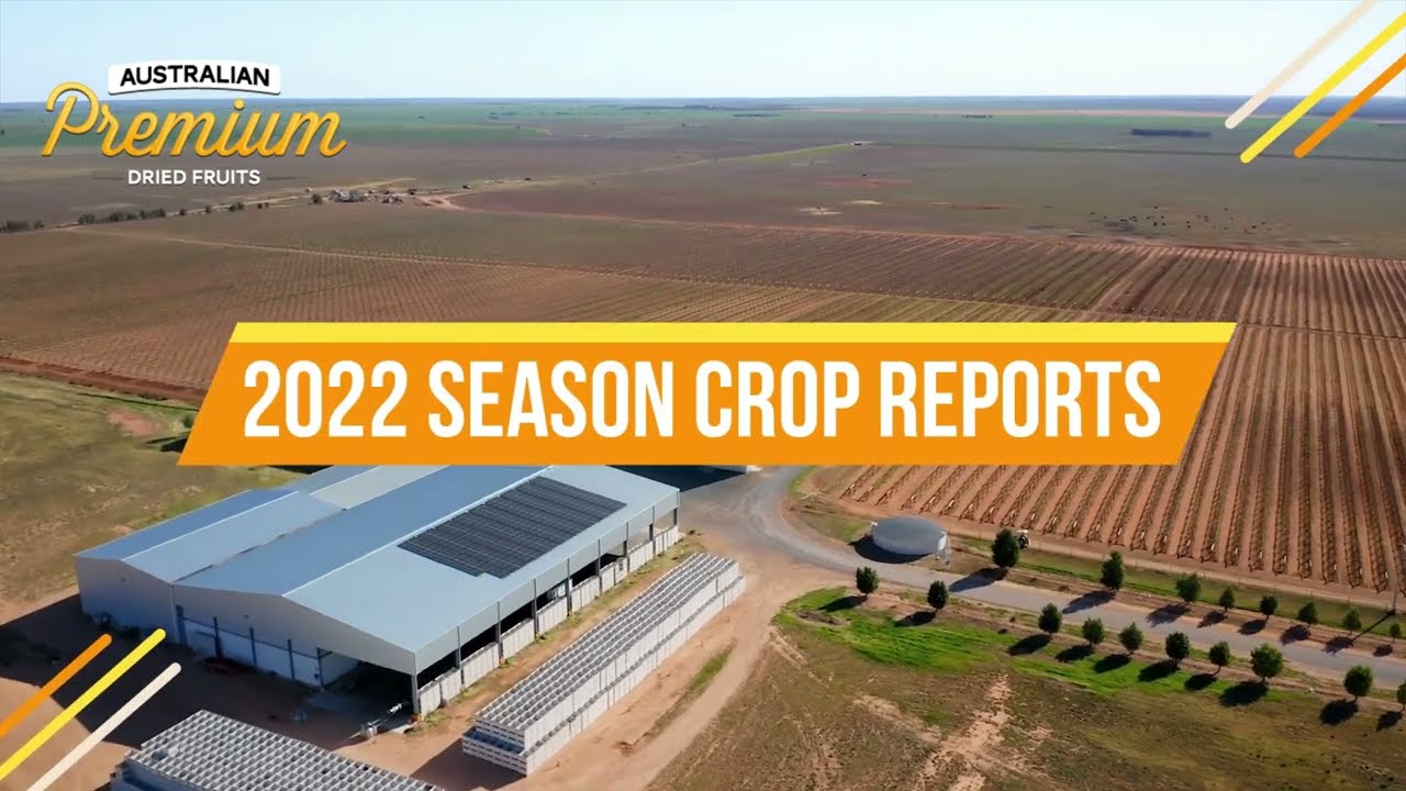 Crop Report #3 25th Feb 2022