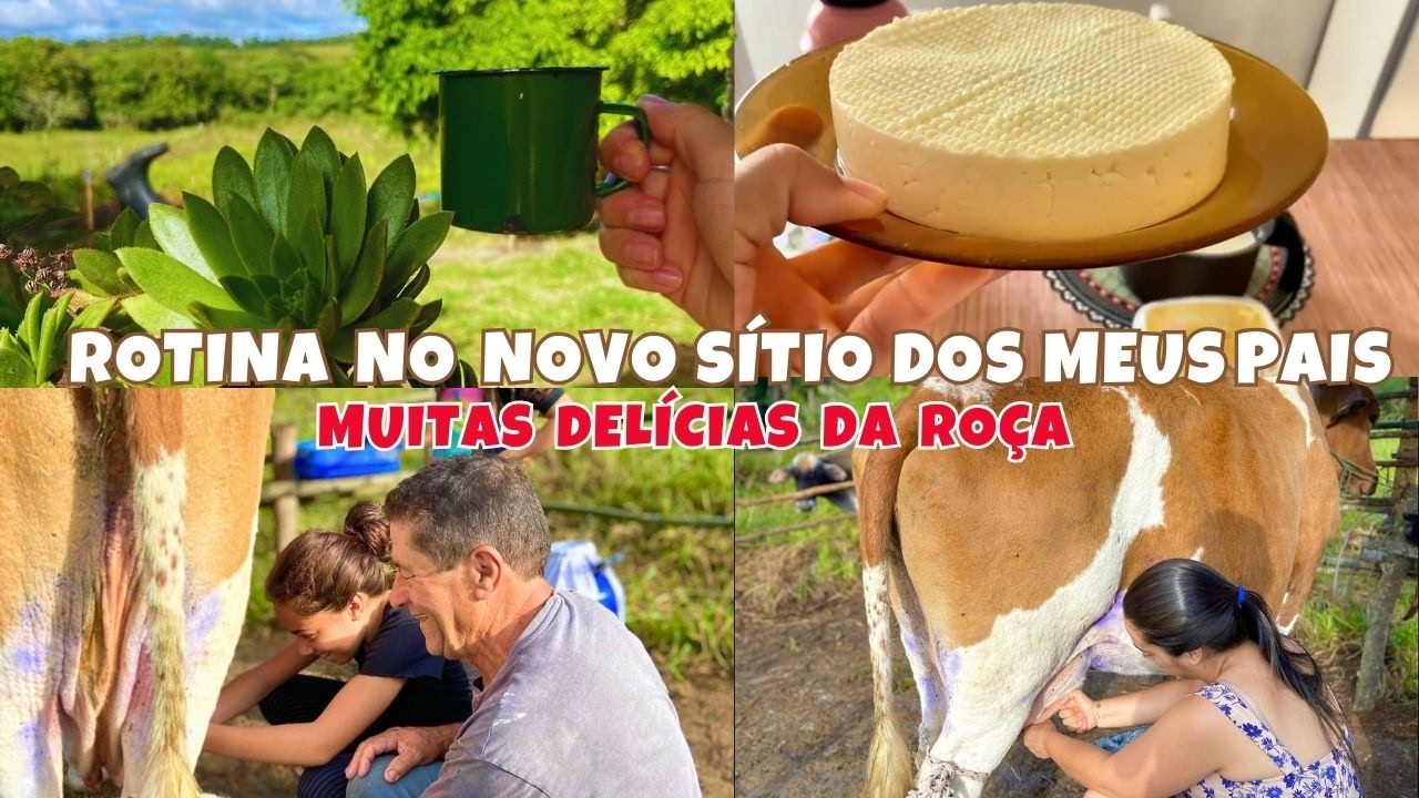 ROTINA NO SÍTIO DOS MEUS PAIS | Tirando Leite, Pai fez doce de figo e Comida no Fogão a Lenha