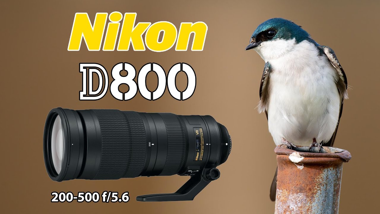 Nikon D800 Bird Photography with 200-500 PLUS LONG EXPOSURE 24-70 Kase Filters