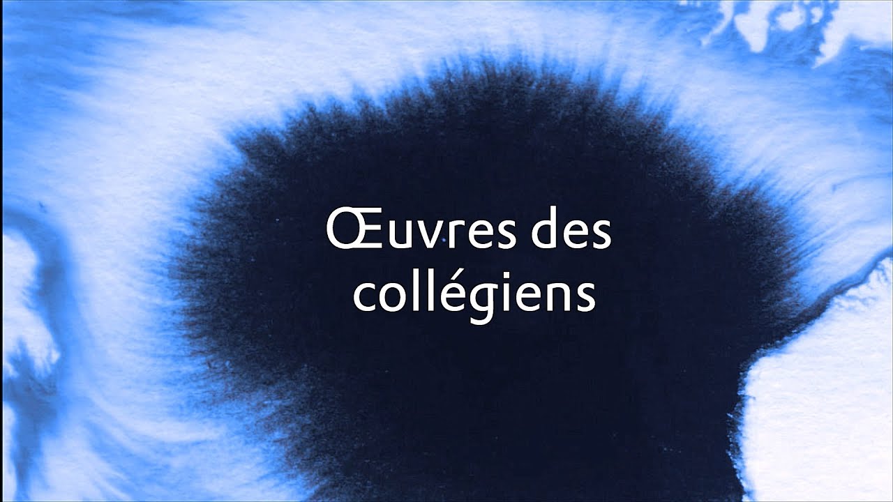 Exposition virtuelle 2020 des collégiens