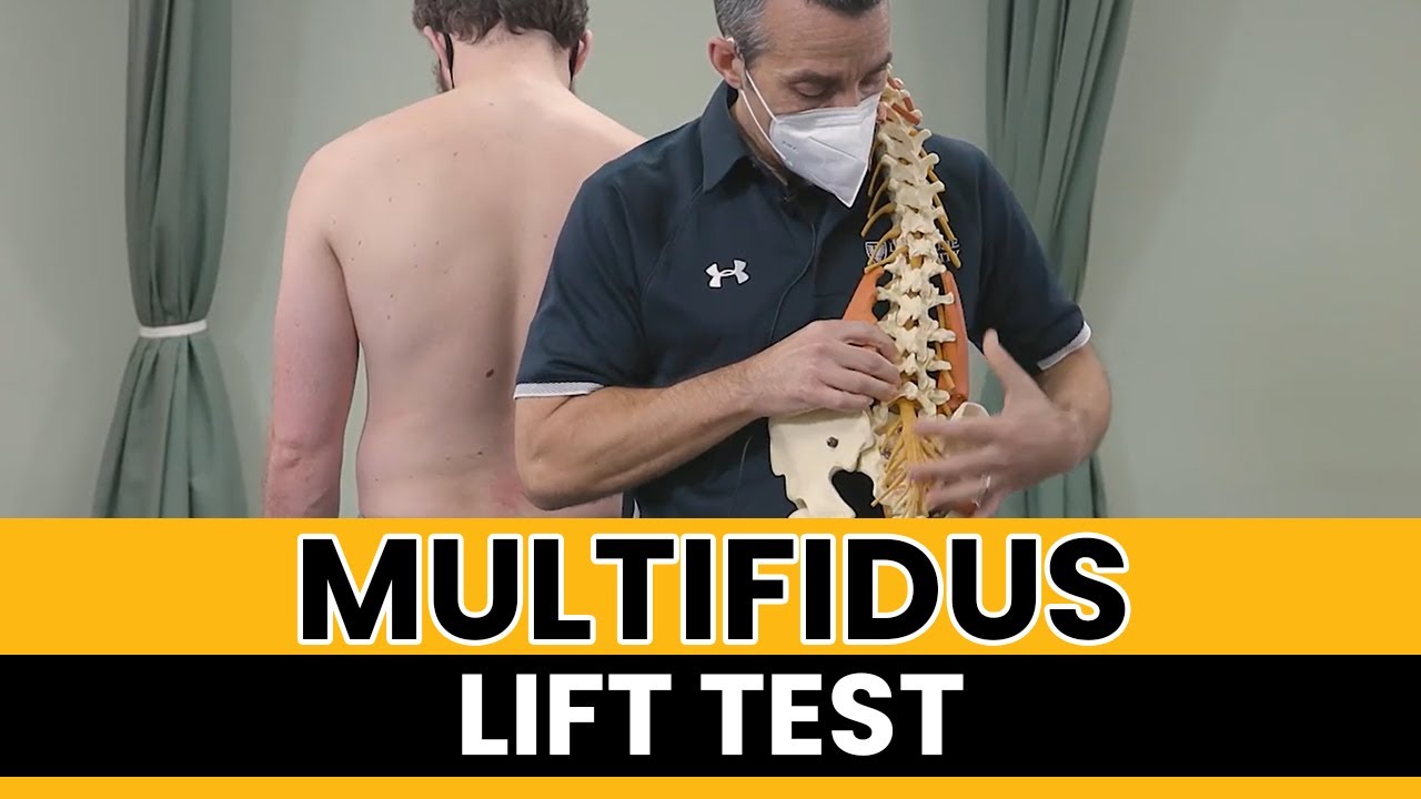 Multifidus Lift Test
