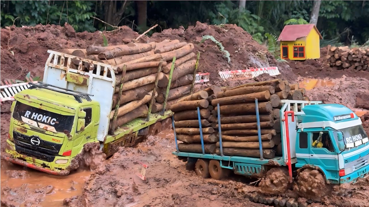 HUTAN GUNDUL‼️Truk LOGING kayu gelondongan TIDAK berhenti mengangkuti kayu dari basi hutan