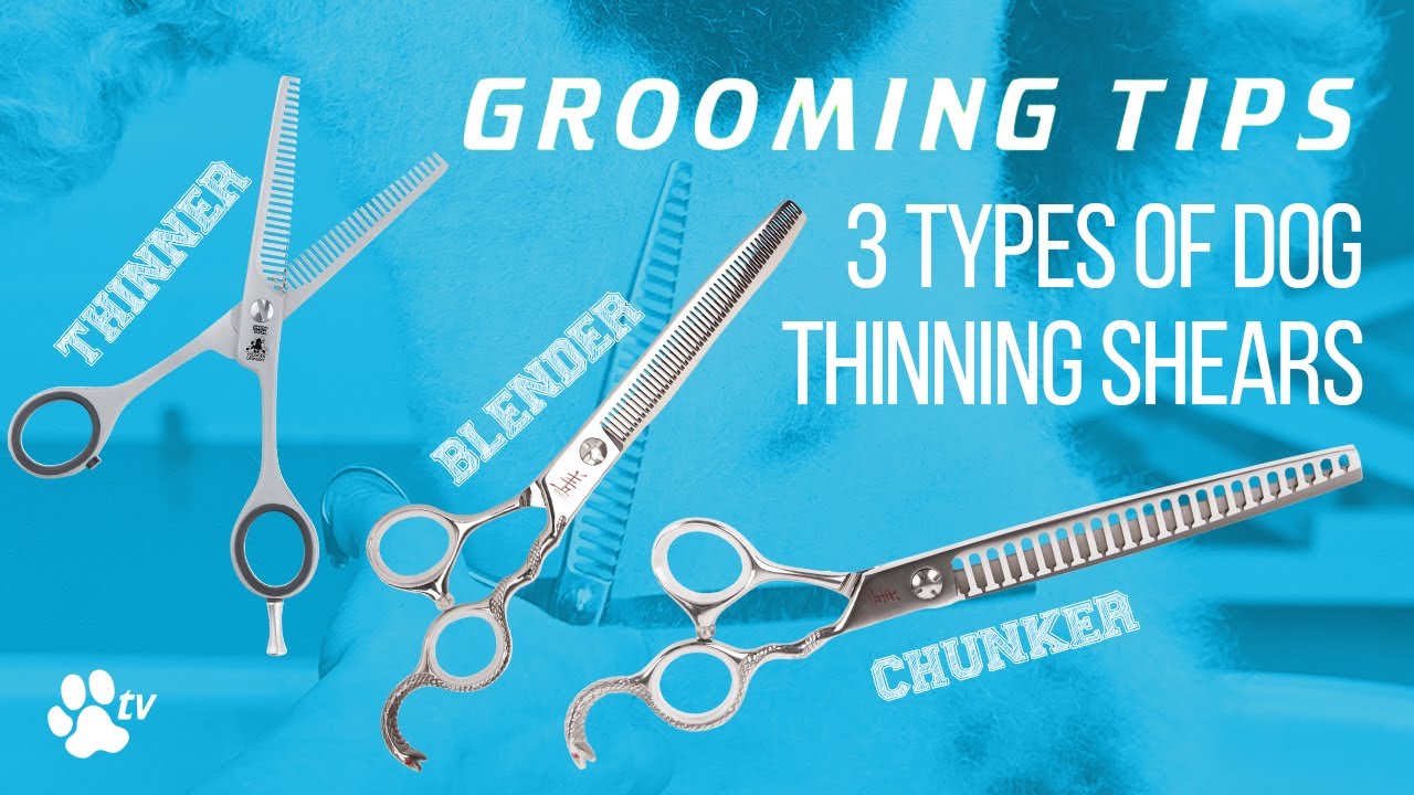 3 types of thinning scissors for dogs | Grooming Tips - TRANSGROOM