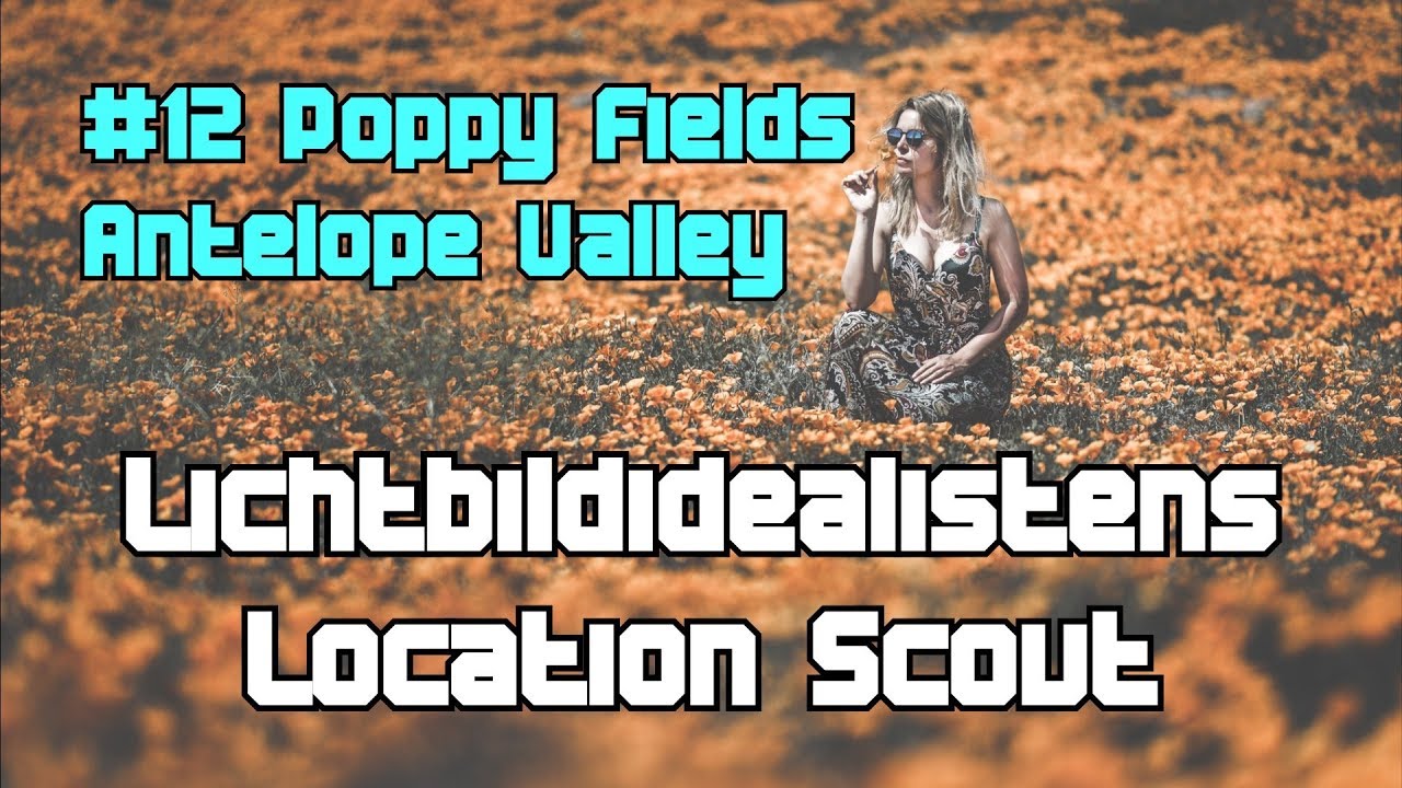 Lichtbildidealistens LocationScout #12 PoppyFields (Antelope Valley,CA) #94