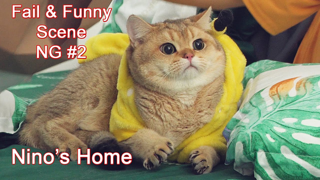 NG Scene #2 (Funny Behind the scenes) | Nino's Home