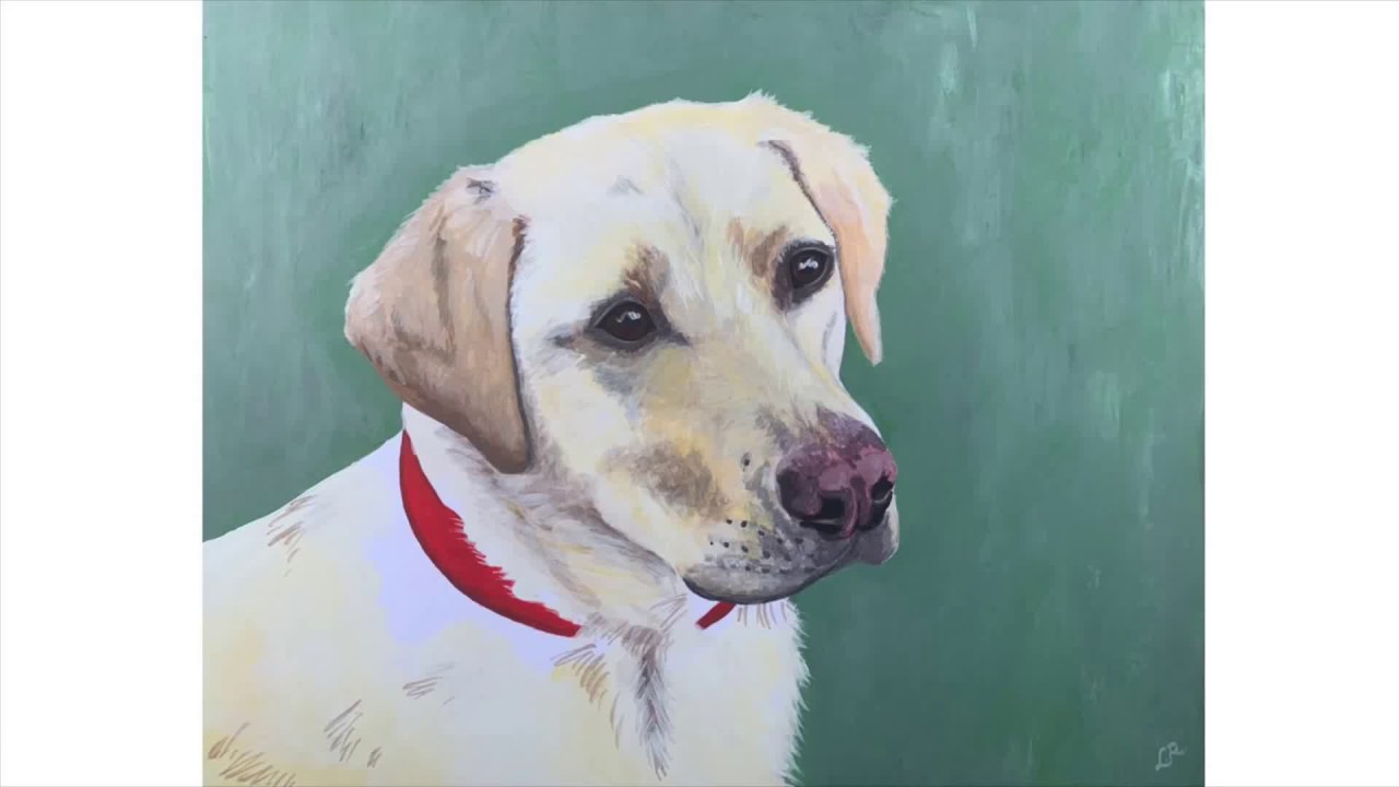 Time Lapse - Labrador Retriever -Acrylic Painting