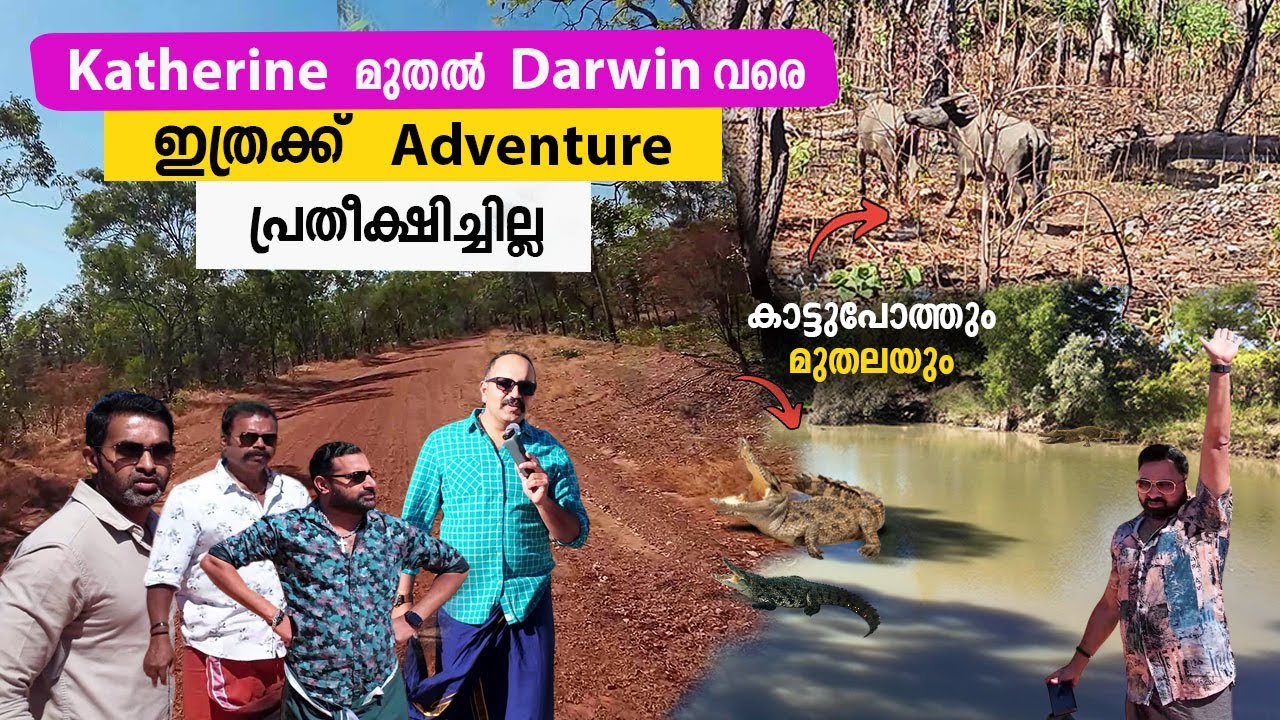 കാട്ടുപോത്തിന്  മുന്നിൽ പെട്ടു | katherine to darwin Road trip