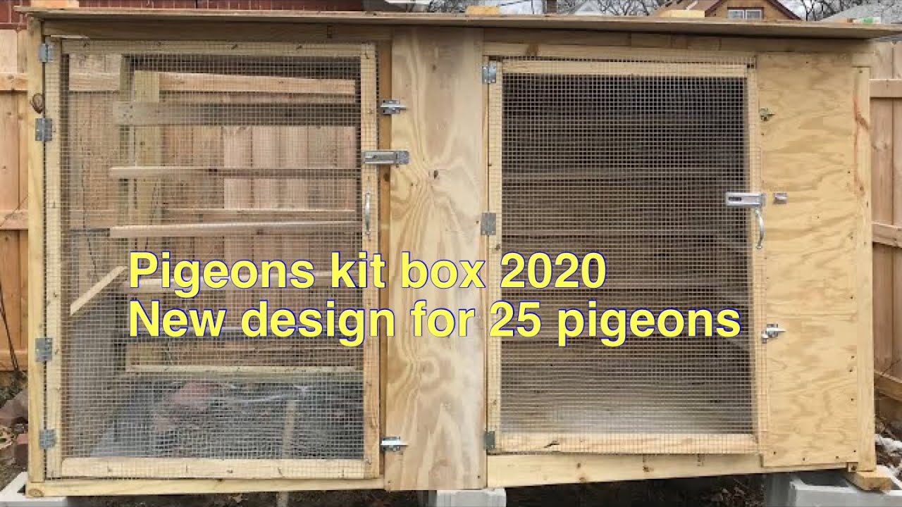 Pigeons kit box new 2020