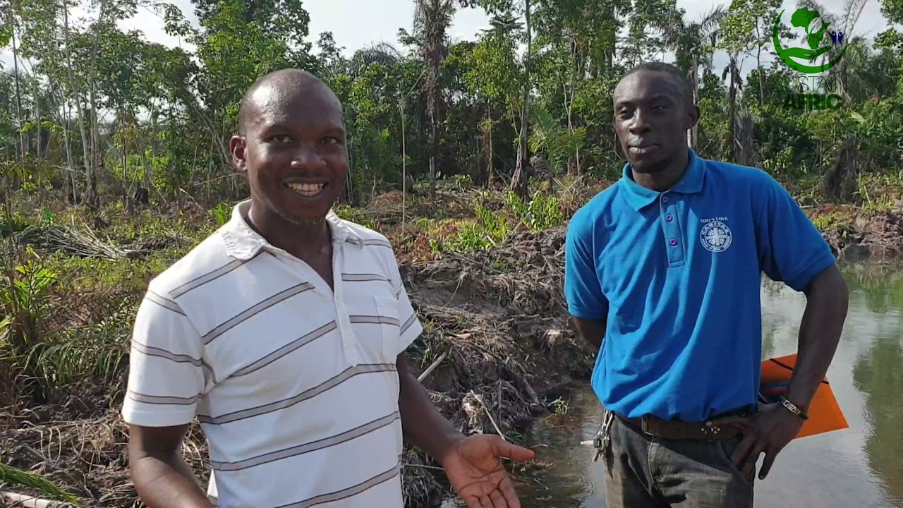 Fish farming/Aquaculture.Massive earth ponds, concrete tanks in Cameroon for Tilapia and Catfish