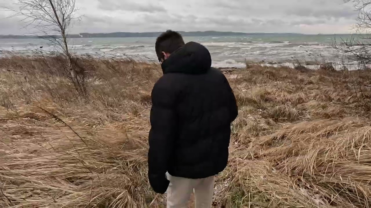 Storm går tur i den flotte natur ved hans nye bolig