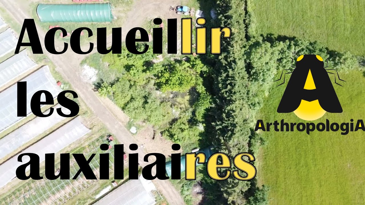 Biodiversité & agriculture : ACCUEILLIR LES AUXILIAIRES : Ep. 5 - Série Du vivant dans les champs