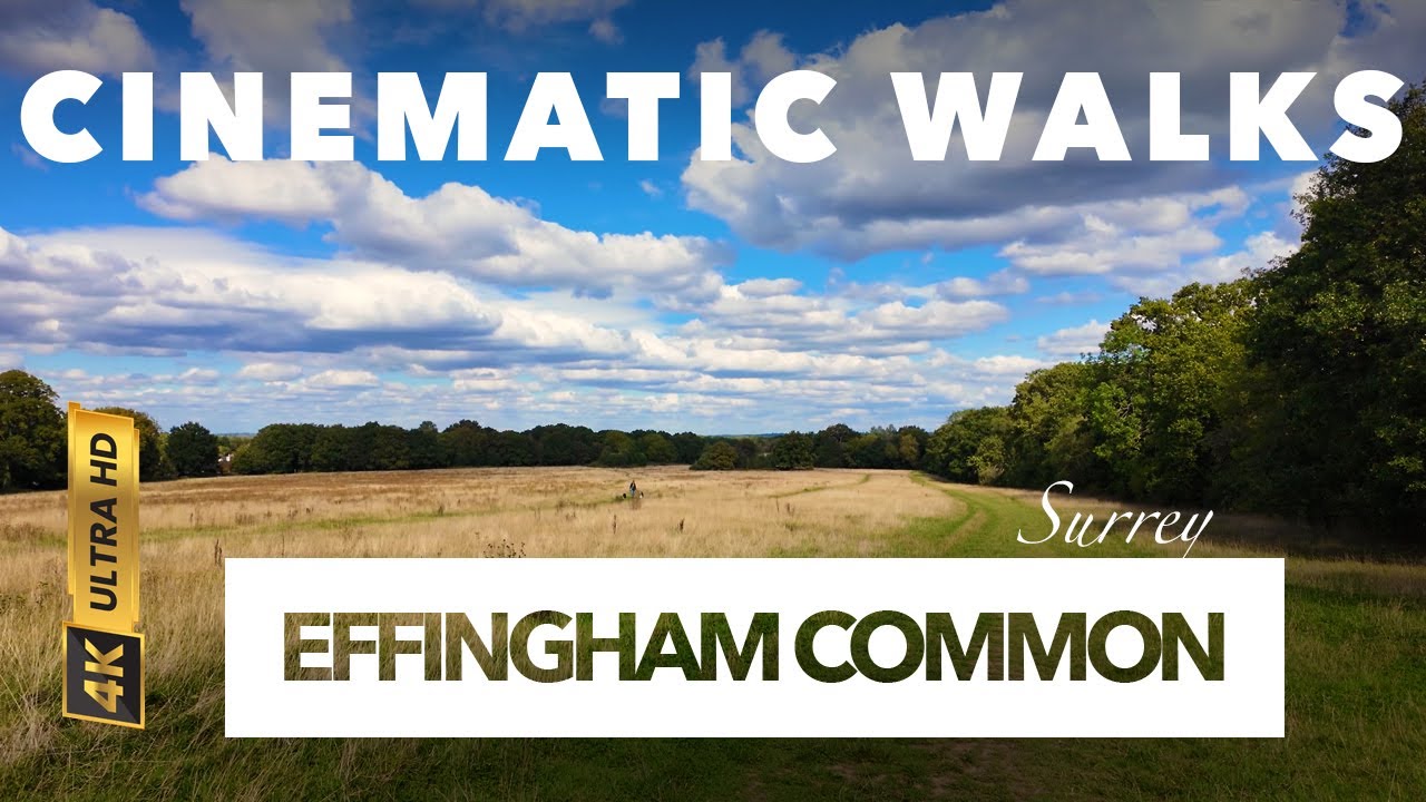 Stunning Surrey Countryside - Effingham Common- 1pm - 2,786 steps - // Walking Tour 4k