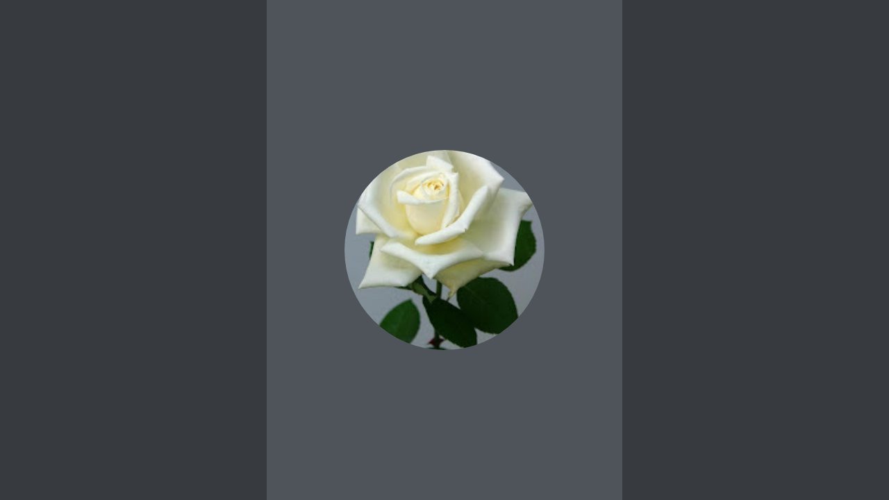 اجب صح