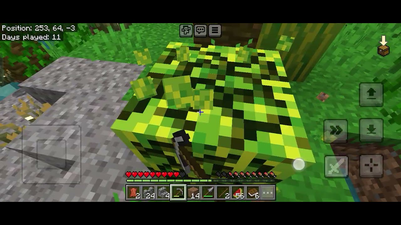 Survival PT 5