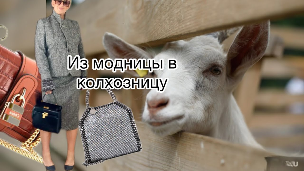 Вызвали срочно в комиссионку.осторожно козы‼️личный интерес в деревне @ludmila Sandrino tour