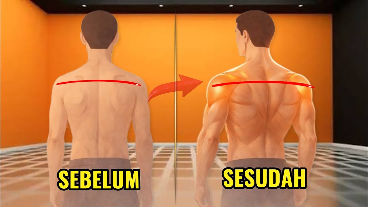 Hanya 2 Latihan Bahu yang Sebenarnya Dibutuhkan