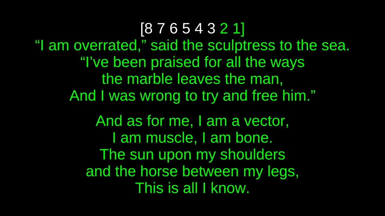 Owen Pallett - Lewis Takes Off His Shirt (karaoke)